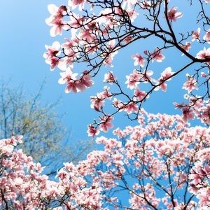 Meet your Posher, Nathali